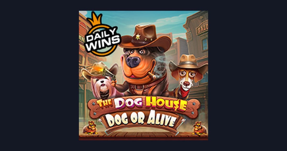 Cara Main Slot Pemula di The Dog House Dog Or Alive Pragmatic Play